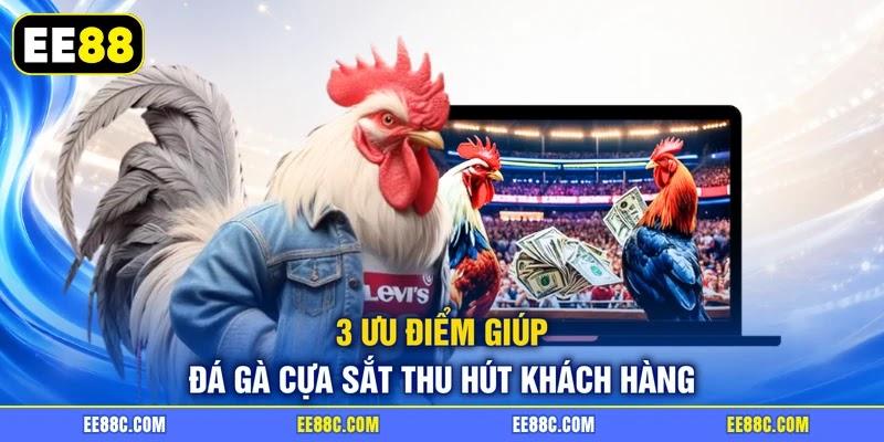 3 ưu điểm giúp đá gà cựa sắt thu hút khách hàng 3 ưu điểm giúp đá gà cựa sắt thu hút khách hàng