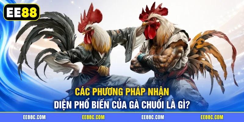 Các phương pháp nhận diện phổ biến của gà chuối là gì?