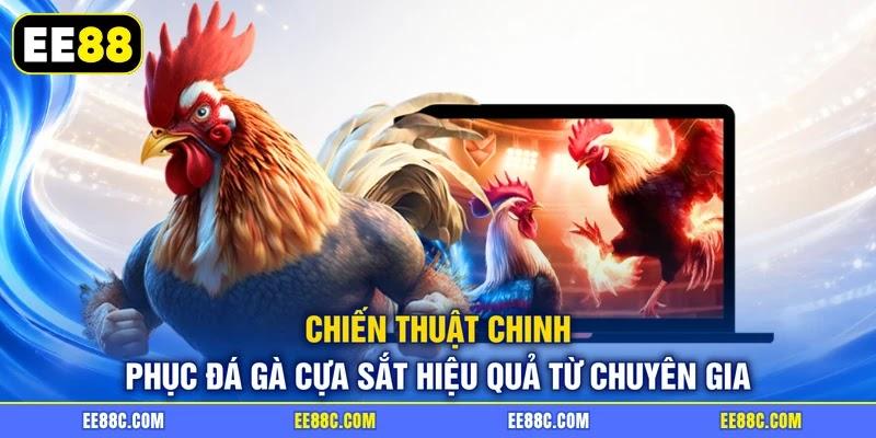 Chiến thuật chinh phục đá gà cựa sắt hiệu quả từ chuyên gia Chiến thuật chinh phục đá gà cựa sắt hiệu quả từ chuyên gia