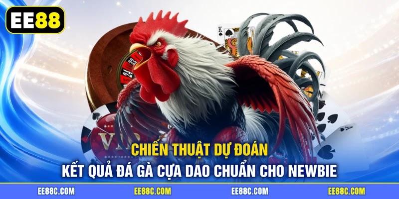 Chiến thuật dự đoán kết quả đá gà cựa dao chuẩn cho newbie