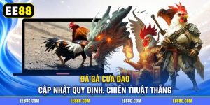 Đá Gà Cựa Dao - Cập Nhật Quy Định, Chiến Thuật Thắng