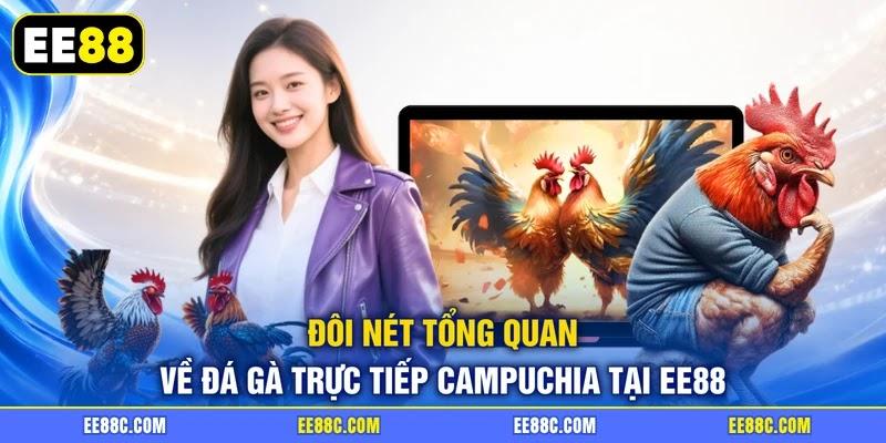 Đôi nét tổng quan về đá gà trực tiếp Campuchia tại EE88 Đôi nét tổng quan về đá gà trực tiếp Campuchia tại EE88