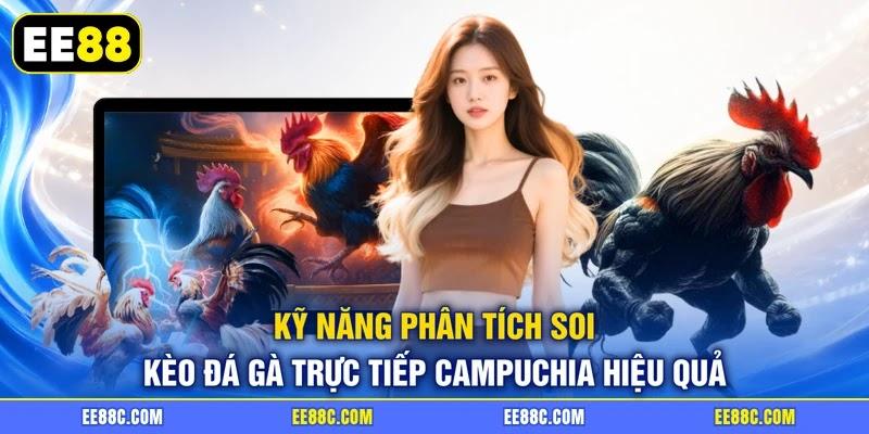 Kỹ năng phân tích soi kèo đá gà trực tiếp Campuchia hiệu quả Kỹ năng phân tích soi kèo đá gà trực tiếp Campuchia hiệu quả