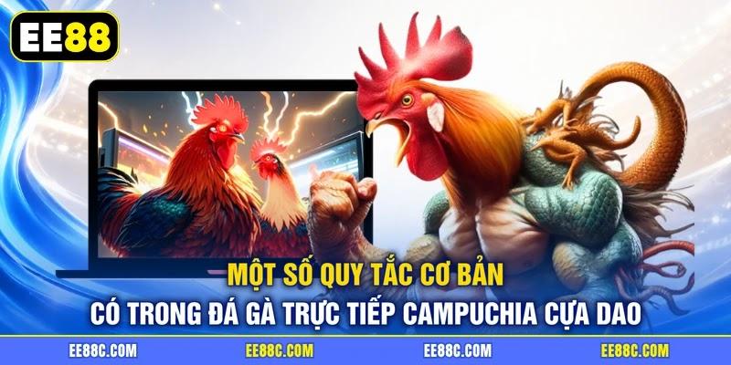 Một số quy tắc cơ bản có trong đá gà trực tiếp campuchia cựa dao Một số quy tắc cơ bản có trong đá gà trực tiếp campuchia cựa dao